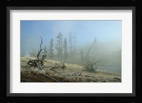 Yellowstone 4 Fine Art Print