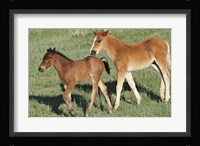 Wildhorses 13 Fine Art Print
