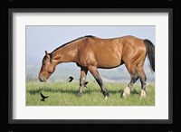 Wildhorses 24 Fine Art Print