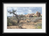 Arches 24 Framed Print