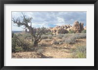 Arches 24 Framed Print