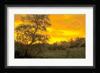 Sunrise Over Green Field Fine Art Print