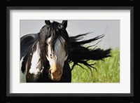 Wildhorses 1 Fine Art Print