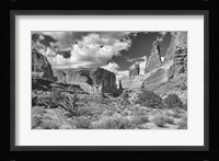 Valley Of Rock And Shrubs Fine Art Print