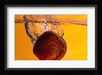 Apple Underwater II Fine Art Print