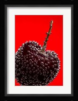 Cherry Covered In Water Drops III Framed Print