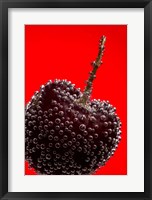 Cherry Covered In Water Drops III Framed Print