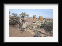 Canyonland 8 Framed Print