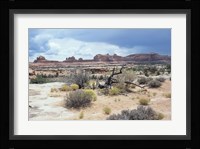 Canyonland 7 Fine Art Print