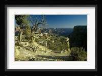 Grand Canyon 6 Fine Art Print