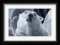 Arctic Frost 2 Fine Art Print