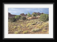 Canyonland 15 Fine Art Print