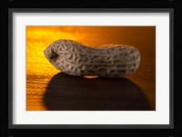 Peanut On Bar Fine Art Print