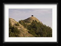 Bison On Mountain Fine Art Print