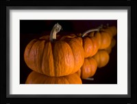 Pumpkin Reflections Fine Art Print