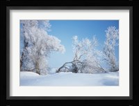 Snow Terrain Trees Fine Art Print