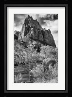 Zion 5 Fine Art Print