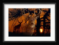 Silhouettes Of Autumn Fine Art Print