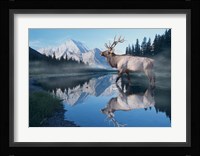 Reflections Of Glacier Fine Art Print