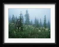 Misty Green Trees And Field I Fine Art Print