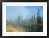 Yellowstone 6 Framed Print