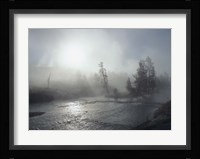 Yellowstone 5 Fine Art Print