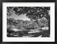Grand Canyon 8 Framed Print