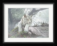 Lazy Days Fine Art Print