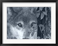 At First Sight Framed Print