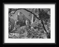 Zion 3 Fine Art Print