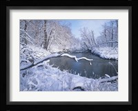 Buffalo River Snow 41 Fine Art Print