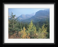 Blue Mountains And Fall Trees Fine Art Print
