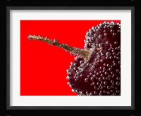 Cherry Covered In Water Drops II Fine Art Print