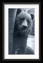 Grizzly Fine Art Print