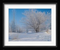 Snow Terrain III Fine Art Print