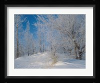 Snow Terrain Tree III Fine Art Print