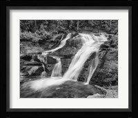 Water Rushing Over Rock Under Trees Fine Art Print