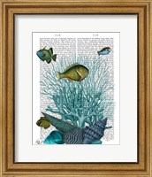 Fish Blue Shells and Corals Fine Art Print