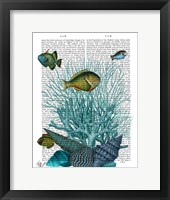Fish Blue Shells and Corals Framed Print