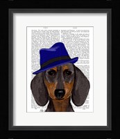 Dachshund With Blue Trilby Framed Print