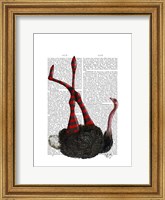 Ostrich with Striped Leggings Fine Art Print