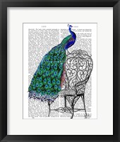 Peacock on Chair Framed Print