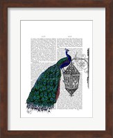 Peacock On Lamp Fine Art Print