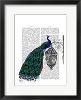 Peacock On Lamp Framed Print
