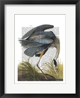 Blue Heron 1 Fine Art Print