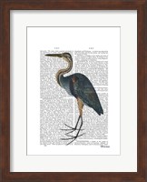 Blue Heron 3 Fine Art Print