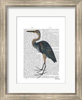 Blue Heron 3 Fine Art Print