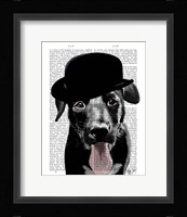 Black Labrador in Bowler Hat Framed Print