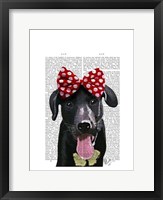 Black Labrador With Red Bow On Head Framed Print