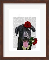Black Labrador with Roses Fine Art Print